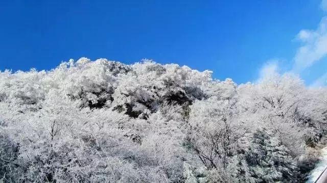 剑刃风暴