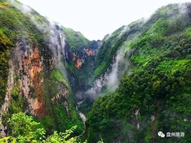 现在是不是驾照停考了游戏画面