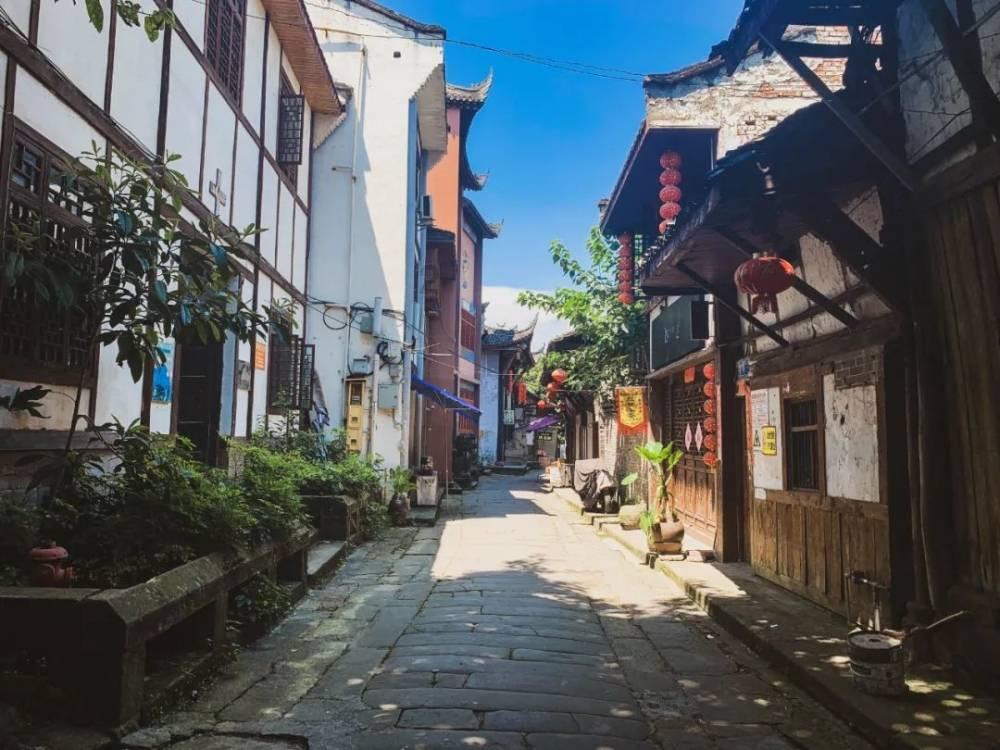 现在是不是驾照停考了游戏画面